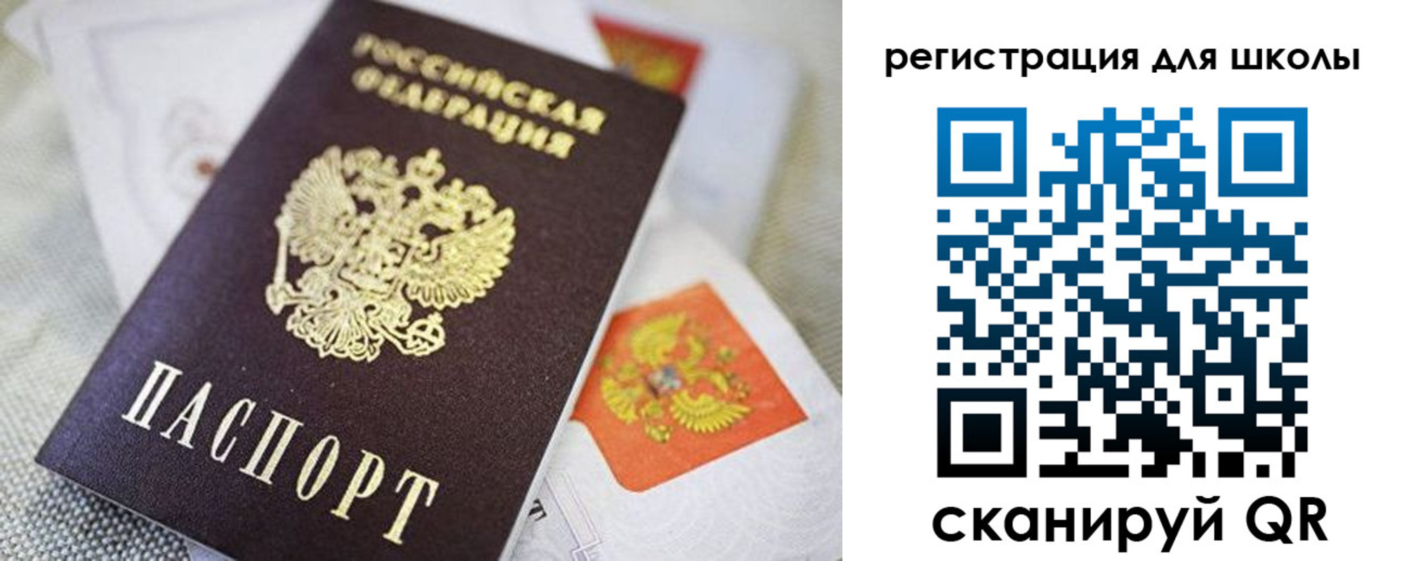 пропишу в квартире в Острове